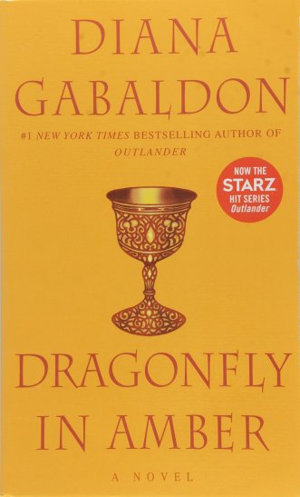 dragonflyinamber