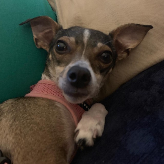 AF29B41D-5D22-4D7C-B228-DD9240A0F88F